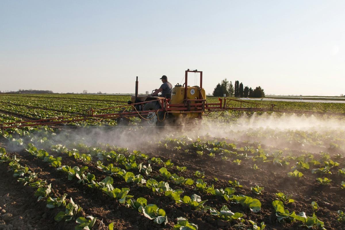 Relevo generacional en el campo
