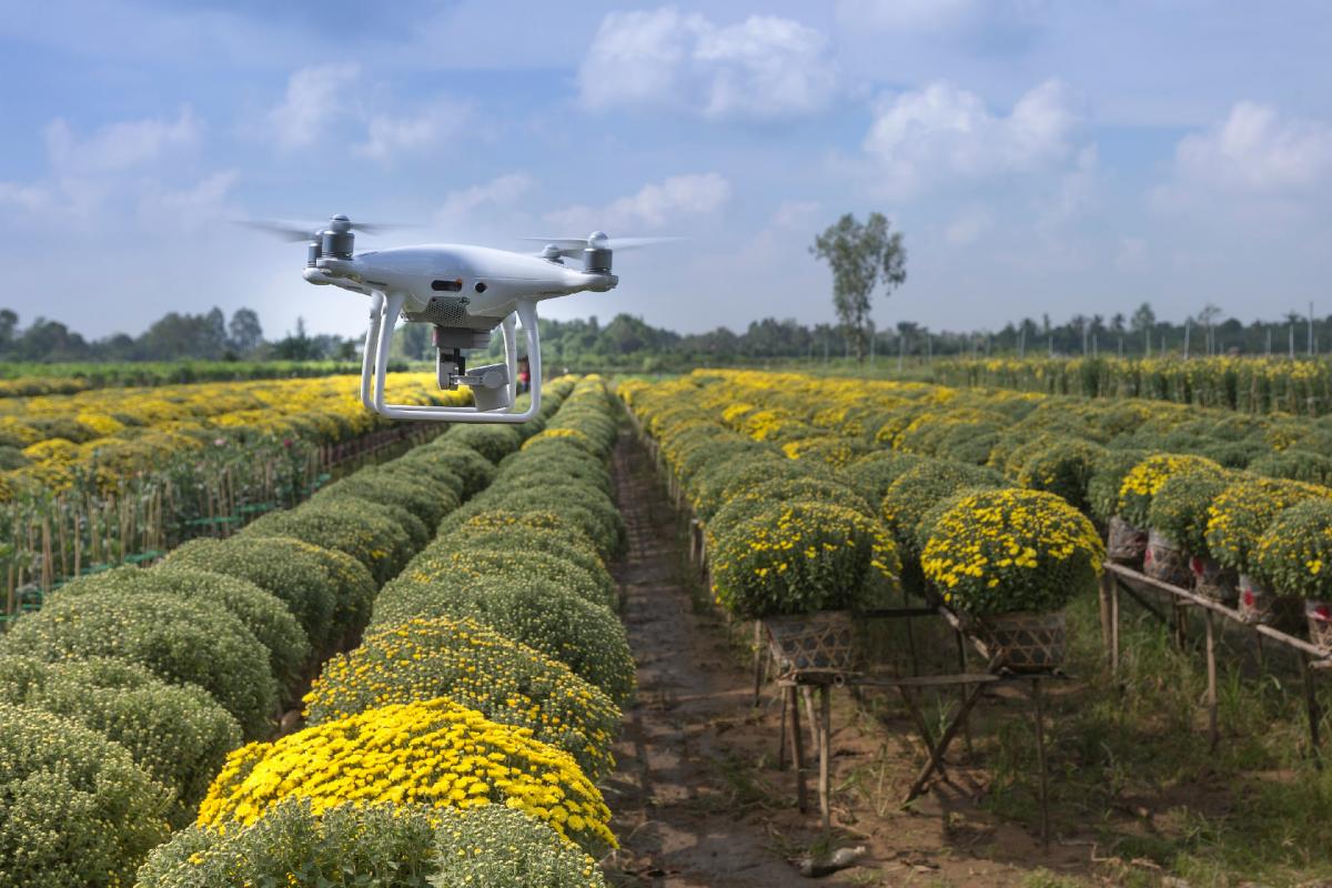  innovación para una Agricultura Sostenible