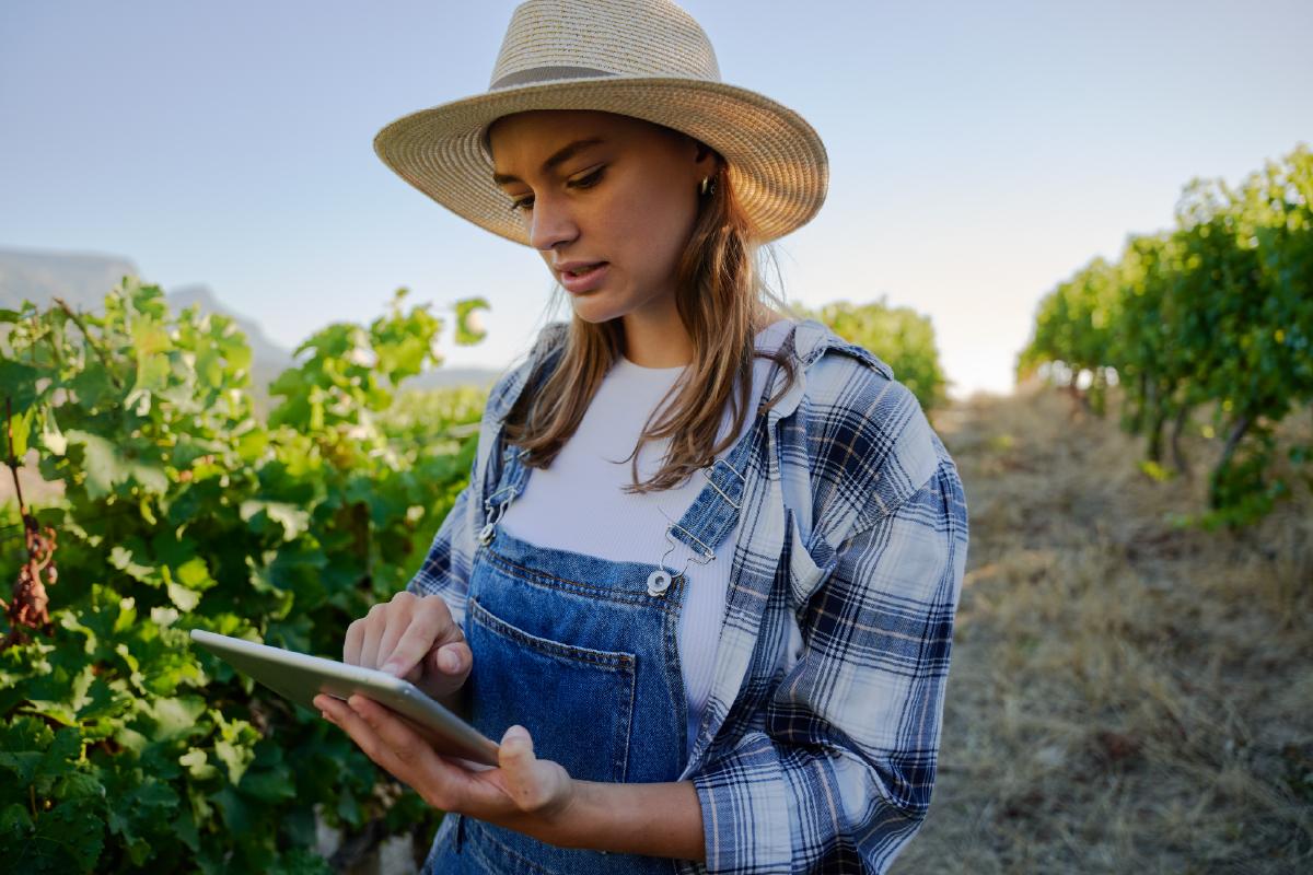 Negocio agro: ayudas, gastos y pasos para empezar 